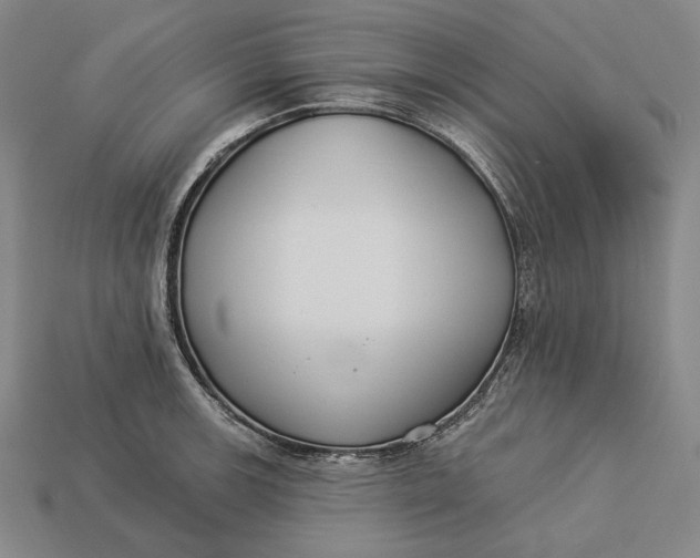 X0000112891139200909111459