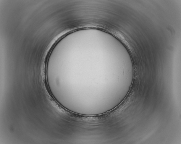 X0000112891140200909111459
