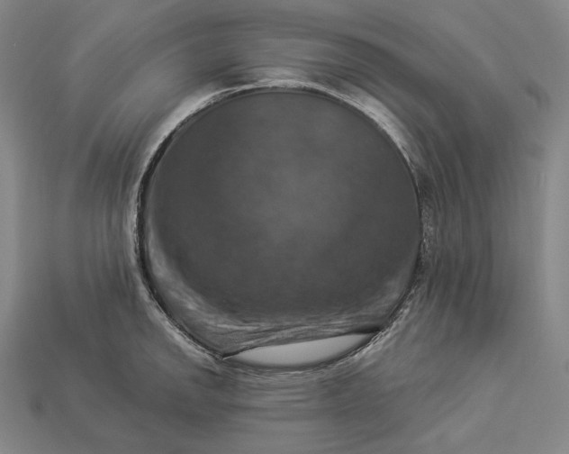 X0000112891142200909111459