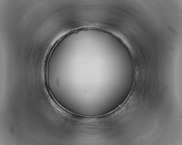 X0000112891143200909111459