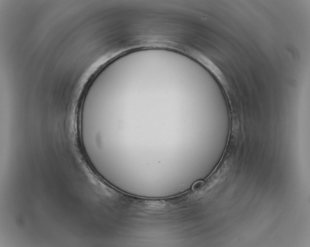 X0000112891144200909111459