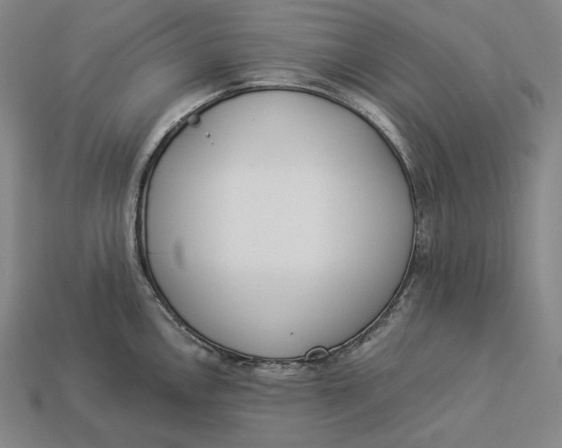 X0000112891146200909111459