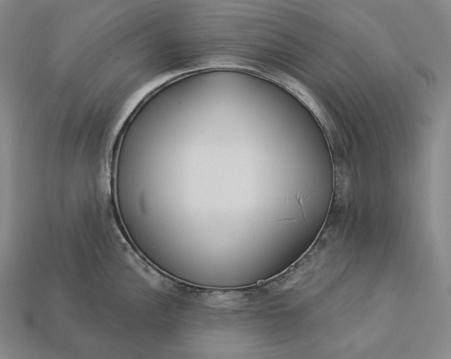 X0000112891148200909111459