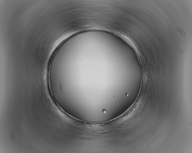 X0000112891149200909111459