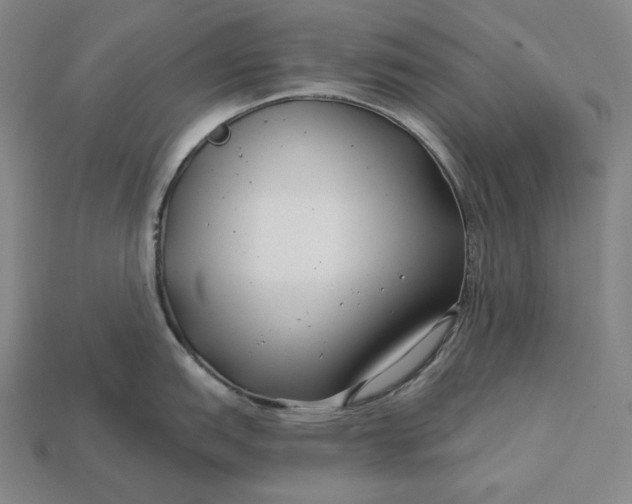 X0000112891151200909111459