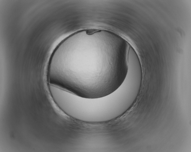 X0000112891152200909111459