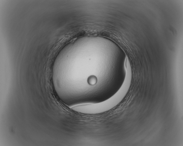 X0000112891153200909111458