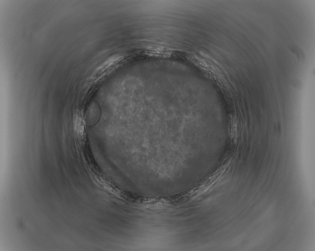 X0000112891154200909111458