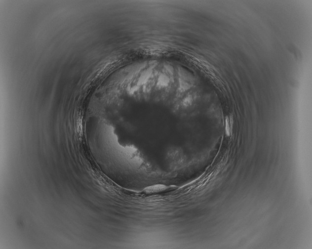 X0000112891155200909111458