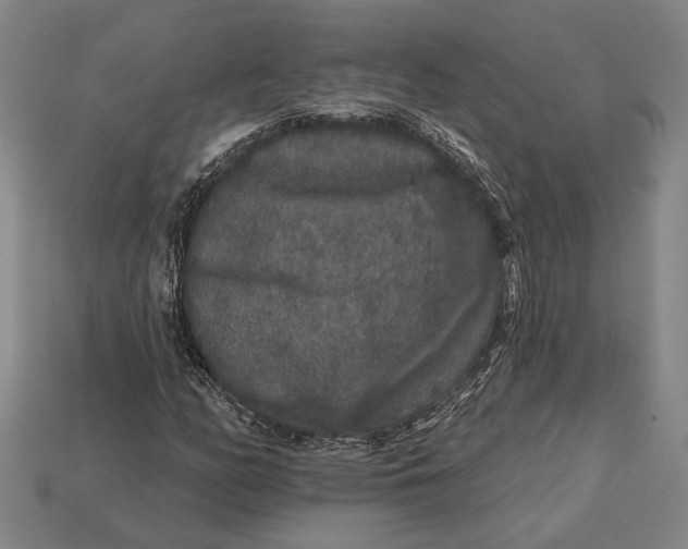 X0000112891158200909111458
