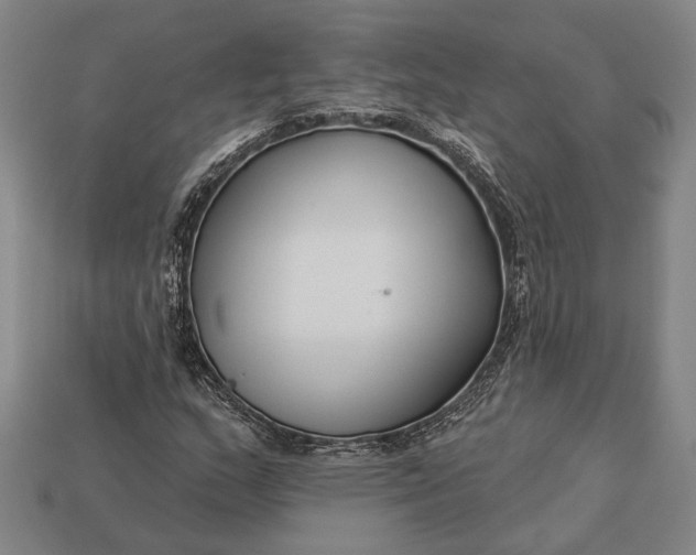 X0000112891159200909111458