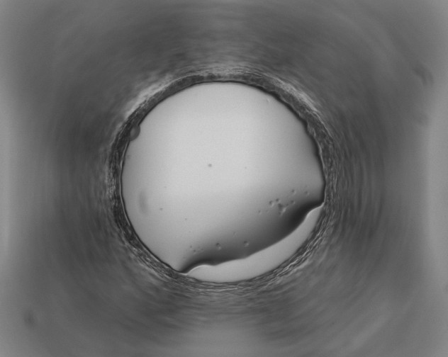 X0000112891160200909111458