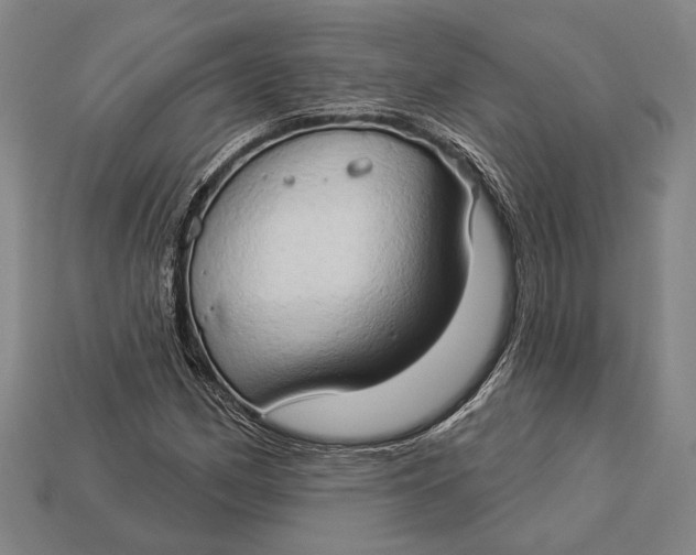 X0000112891162200909111458