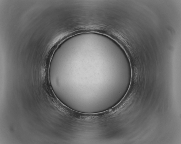 X0000112891163200909111458