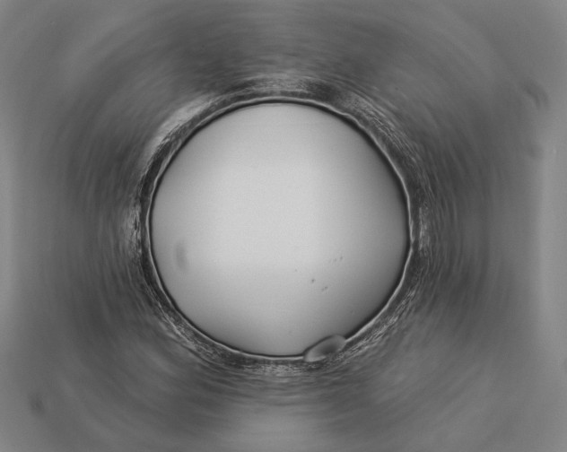 X0000112891164200909111458