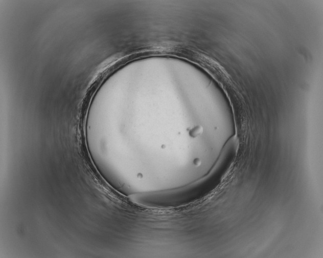X0000112891168200909111458