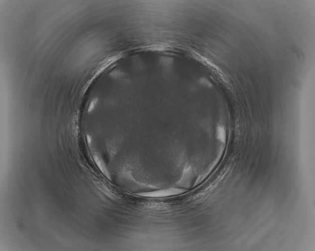 X0000112891170200909111458