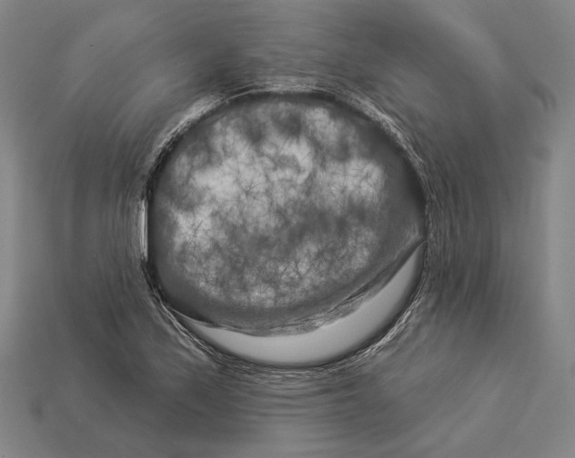 X0000112891171200909111458