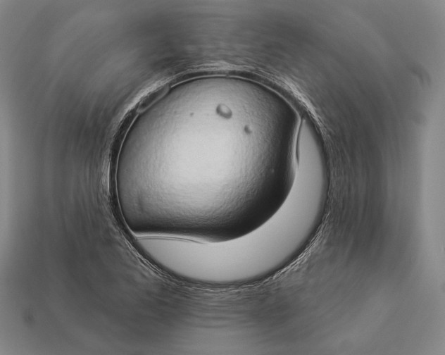 X0000112891173200909111458
