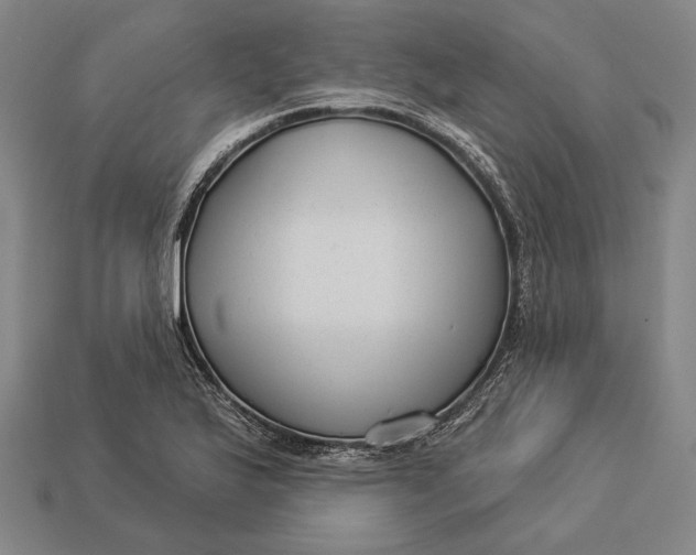 X0000112891175200909111458