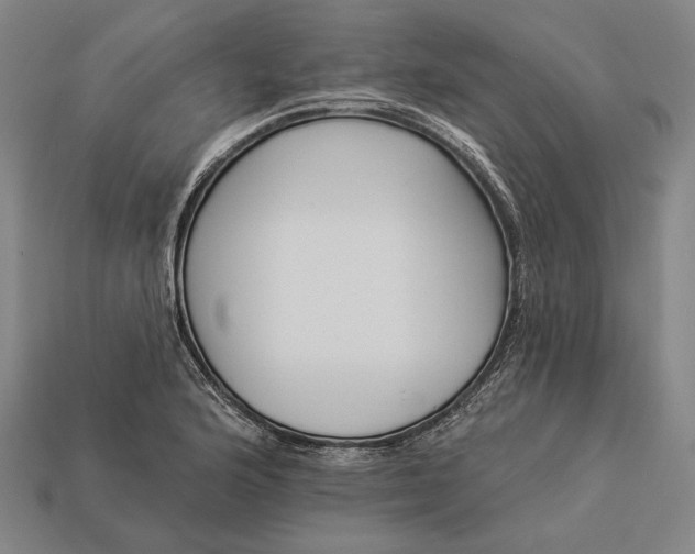 X0000112891176200909111458