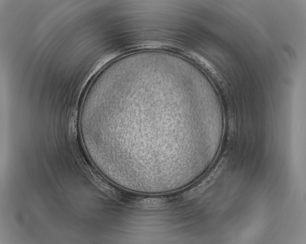X0000112891178200909111458