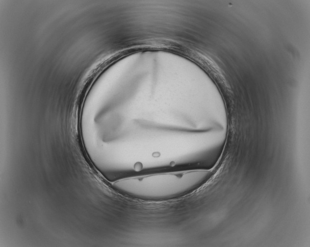 X0000112891180200909111458