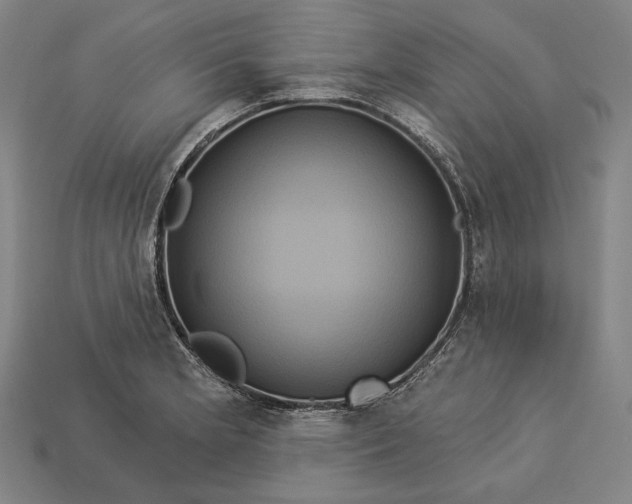 X0000112891181200909111458