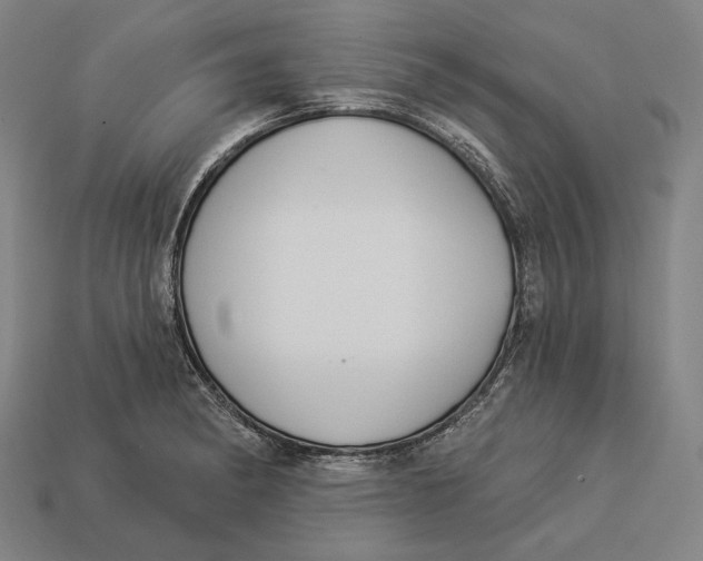 X0000112891182200909111458
