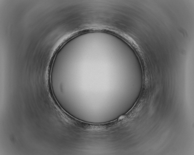 X0000112891183200909111458