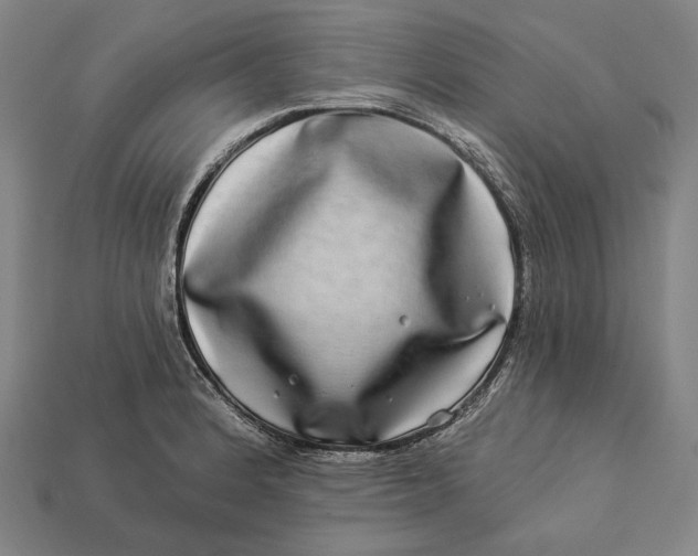X0000112891184200909111458