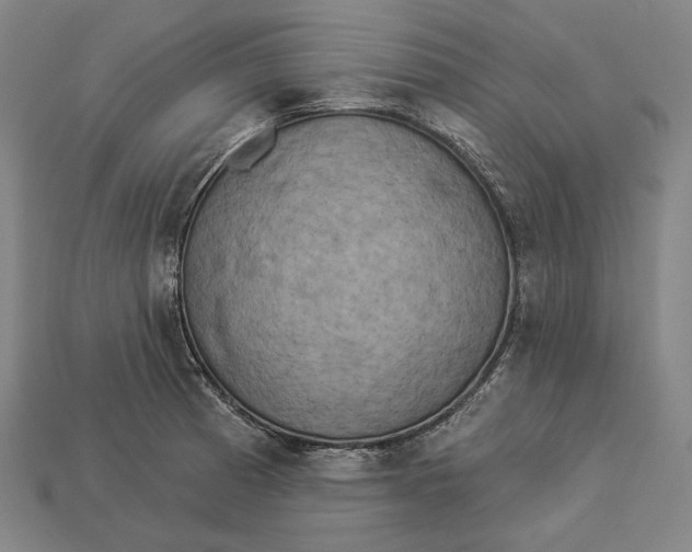 X0000112891185200909111458