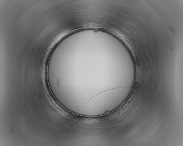 X0000112891187200909111458