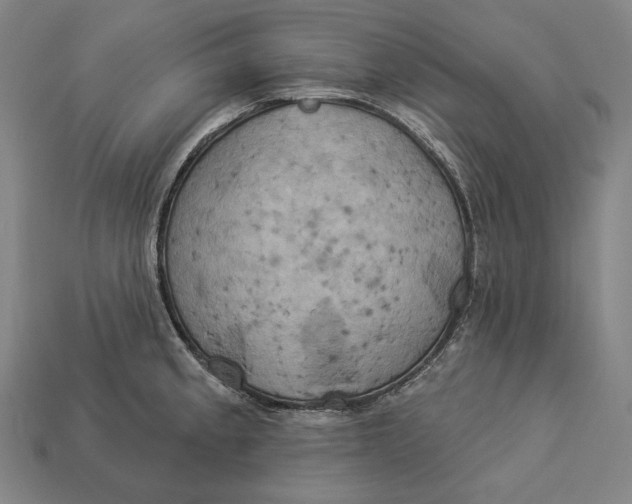 X0000112891189200909111458