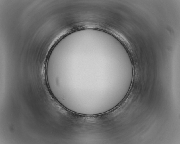 X0000112891190200909111458