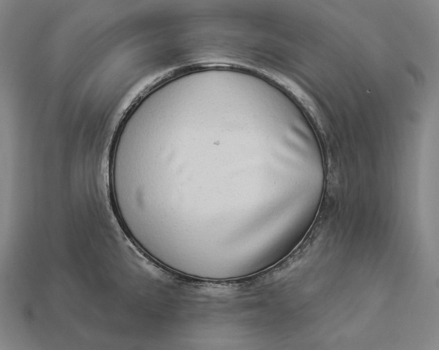 X0000112891191200909111458