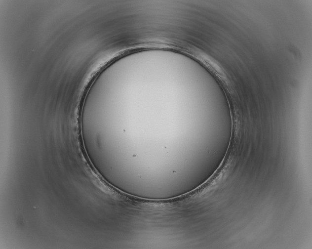 X0000112891192200909111458