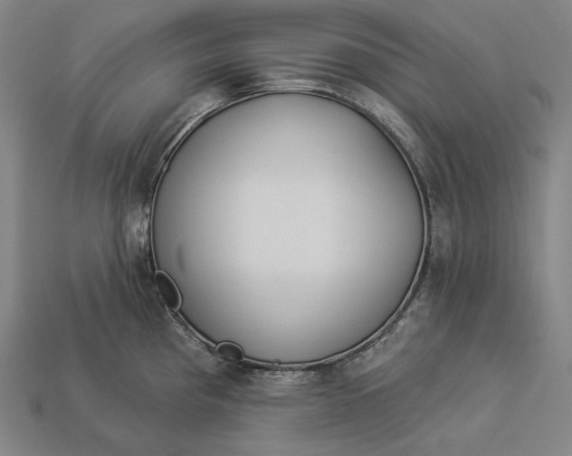 X0000112891193200909111458
