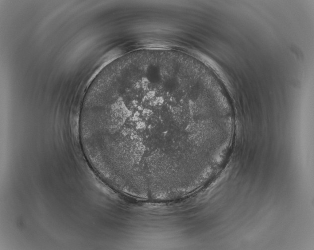 X0000112891194200909111458