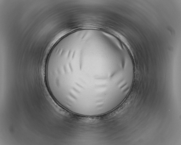 X0000112891195200909111458