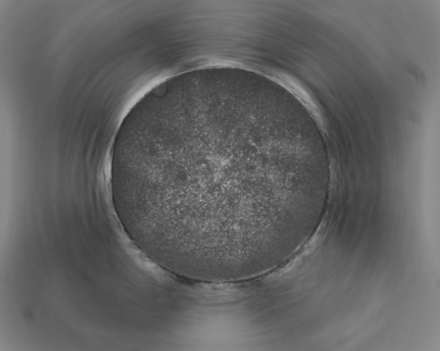 X0000112891198200909111458