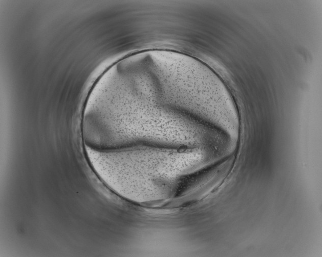 X0000112891200200909111458