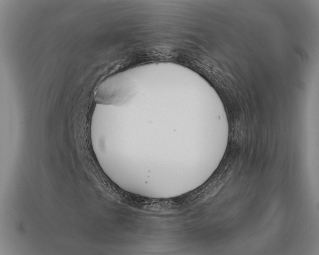 X0000112891201200909111457
