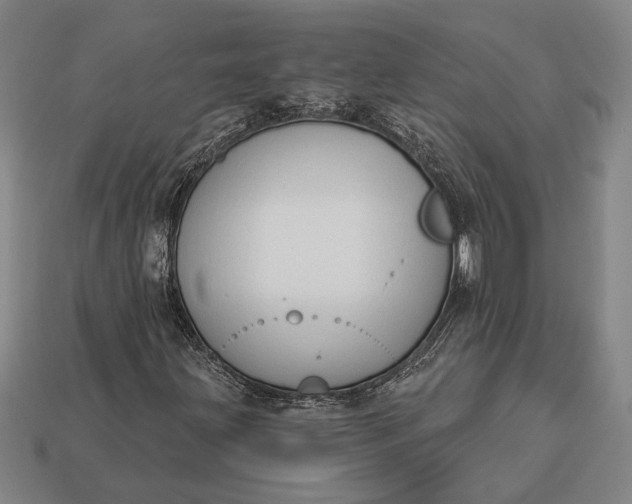 X0000112891203200909111457