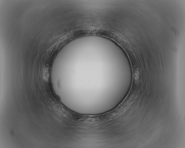 X0000112891204200909111457