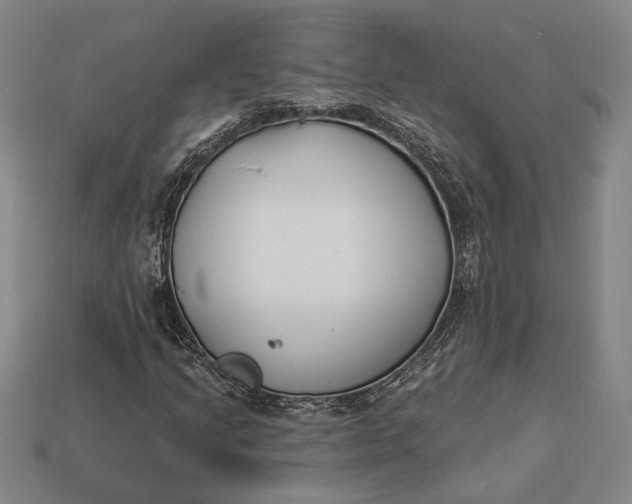 X0000112891205200909111457
