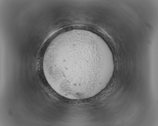 X0000112891208200909111457
