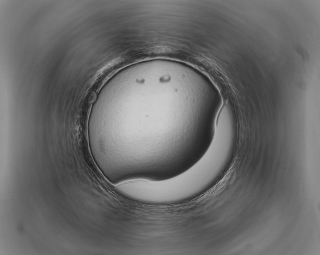 X0000112891210200909111457