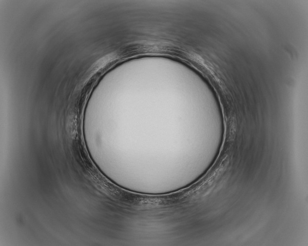 X0000112891211200909111457