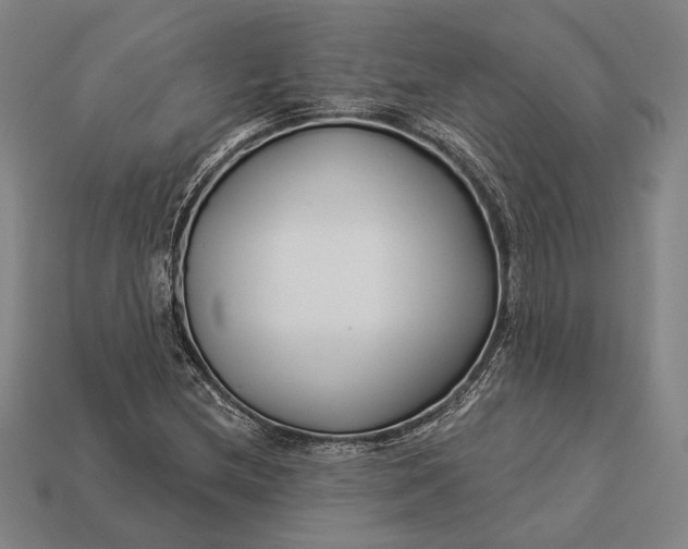 X0000112891212200909111457